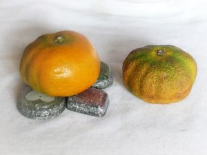 orgonita 1 Mandarina con y sin orgones 15 de mayo