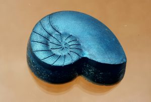 Orgonita pura de bolsillo. Miniorgonita nautilus enriquecida y pigmentada en azul.