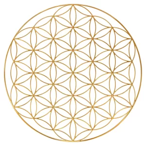 Flor de la vida orgonite